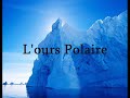 l'ours polaire alias le roi !!
il ne faut pas se fier au apparence !!
l'ours est un inn�vitable pr�dateur !!
meme s'il ressemble a une peluche !!