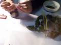 general smoking/ powder hash