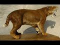Tribute to Nimravids (false sabre tooths) and Barbourofelids