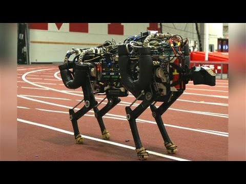Watch Run Robot Run! Online Hoyts Watch Run Robot Run! Online Hoyts