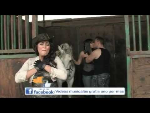 Videos Musicales Gratis!!! Promo, Febrero.