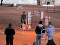 Thanksgiving agility