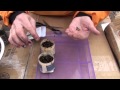 Gardening: Homemade Seed Pots Part 2