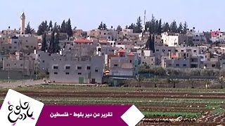 حلوة يا دنيا - تقرير عن دير بلوط - فلسطين