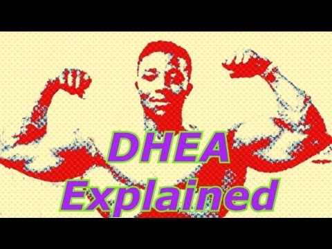 how to use dhea properly for bodybuilding