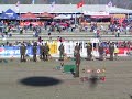 SHOW DE PERROS POLICIALES SANTIAGO DE CHILE