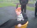 aw ae us eht salcoats toon