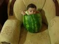 هندونه