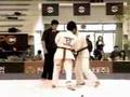 2007 The 5th All korea kyokushin HL