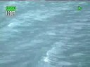BOBTV WAIPIO VALLEYJAZZN FABI PT 1 BOBTV WAIPIO VALLEYJAZZN FABI PT 1