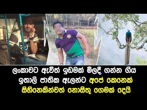 Lankawe-ඇවිත් ඉඩමක් මිලදී ගන්න ගිය ඉතාලි ජාතික ඇලන්ට සිහිනෙකින්වත් නොසිතූ දෙයක් වෙයි