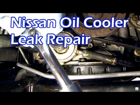 Nissan Oil Leak – Replace Oil Cooler O Ring Gasket