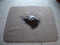 Underpad Bed Pad Absorption Demonstration