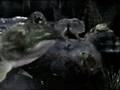 Budweiser Frogs Commercial - Got Canned
