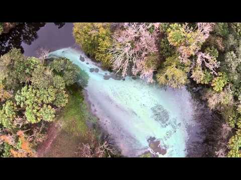 Lithia Springs From Above FishHawk Area Park (PV2+V3)