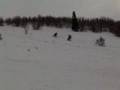 First day on Marci's sled