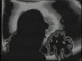 dam-funk :: TOEACHIZOWN (Stones Throw Promo Video) :: dãm-funk