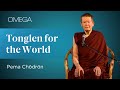 Pema Chodron - Tong Lin