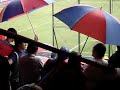 San Lorenzo - blanquiceleste