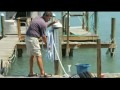 Video Thumbnail Image