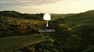 YouTube: Salcheto Obvius Toscana Bianco