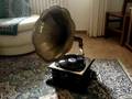 Gramophone playing The third man theme