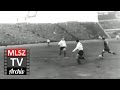 Magyarország-Ausztria | 2-0 | 1960. 11. 20 | MLSZ TV Archív