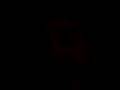 videos de martin svensexa23