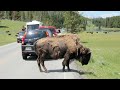 Click here to watch this video Bret Taylor's view of the transam