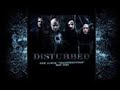 The Curse-Disturbed The Curse-Disturbed