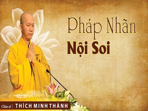 Kinh NIKAYA Giảng Giải - Pháp Nhãn Nội Soi 