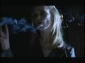 Milan Stanojevic - Director of Photography