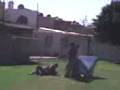 videos de MOV00013.3gp