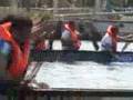 Dragonboat - İstanbul