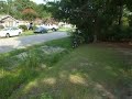 AMARU IN THE DITCH