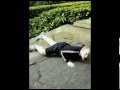 This is a video that the user has chosen on youtube
