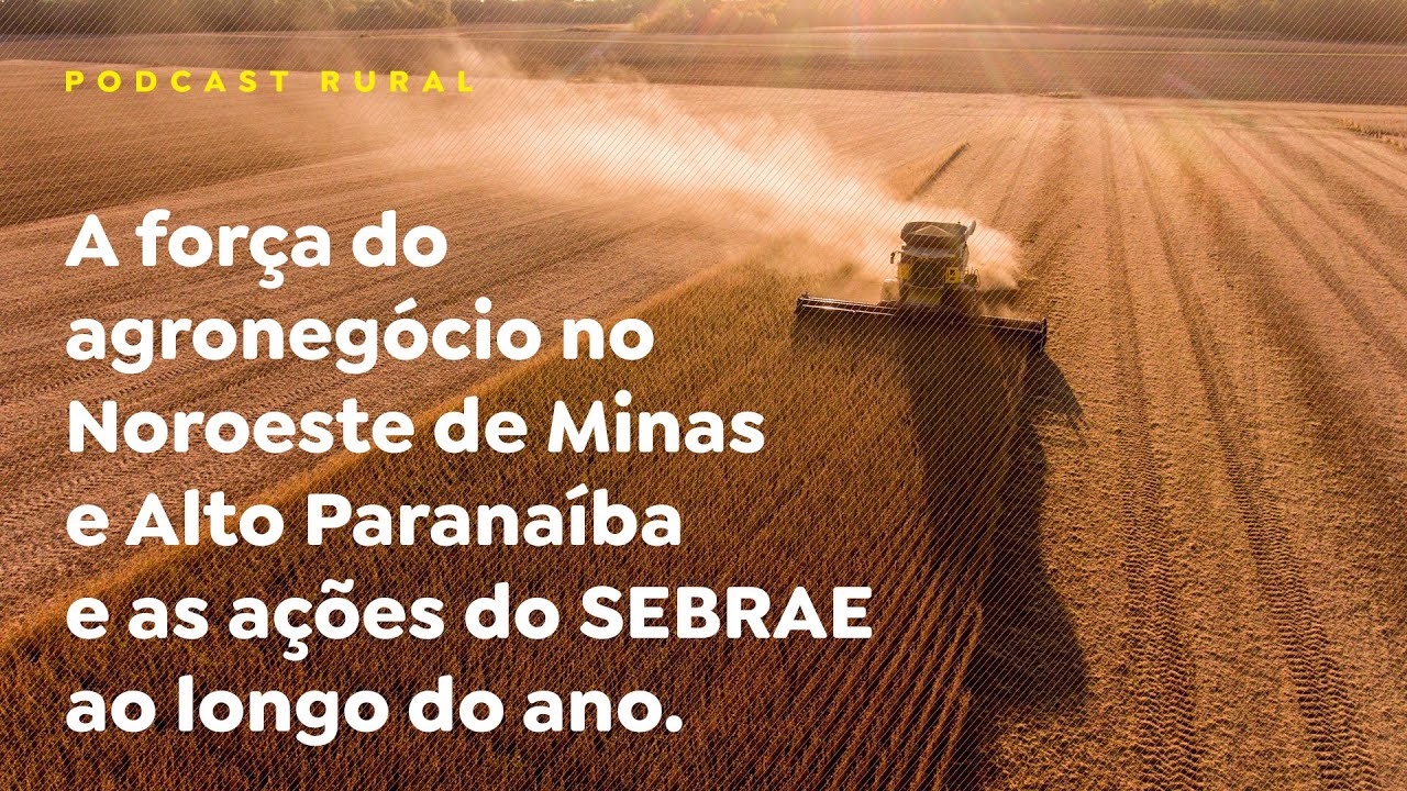 A força do agronegócio no Noroeste de Minas e Alto Paranaíba e as ações do SEBRAE ao longo do ano