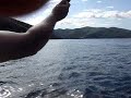 Pesca all\