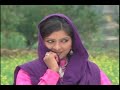 A line drawn on a map cannot divide the hearts of people who live on the land. Yet it rends the very fabric of their life. The time is mid-1940s and the place, Mirpur, a town in the south-west of the princely state of Mirpur. Sakina, the beautiful daughter of a proud landowner, falls in love with Sheeda, who is of a humble peasant stock. Terrified of the consequences, the couple elopes to Rajouri.A turbulence is raging in the state which will leave it divided into two parts, one to go with Pakistan and the other to form a part of India. Eventually, Mirpur falls in 'Azad' Kashmir and Rajouri on the Indian side.Sheeda and Sakina now find themselves firmly separated from their familial ties. Though nursing a sense of guilt, Sakina lives happily with her husband and children in her newly found home. But, not for long. Sardara, Sheeda's old sympathizer emerges one day from his past.Learning from him about her father's death and her mother's solitude, Sakina insists on visiting her father's grave in Mirpur across the Line of Control along with old Saradara.The husband and wife part in the fond hope that they will re-unite soon enough. Fate, however, has something else in store for them. The acrimony between India and Pakistan culminates into a full-scale war and put pays to the hopes of the fackless lovers. Their children grow old, get married and raise their own children in turn. Sheeda builds himself a fine house in Rajouri.Surrounded by his progeny and cushioned by his prosperity, the old man pines for his love. Then, one day destiny brings back Sakina -- now in her eighties -- to her husband and family in Rajouri.The children and grand children are rejoicing the matriarch's return to the fold when comes the message that her permit has expired and cannot be extended.Sakina has to go back to the other side of Kashmir and no amount of persuasion can budge the authorities to let her stay. Heart broken, the old woman dies on the Line of Control, leaving behind officers of India and Pakistan Army arguing among themselves to which side the permit-expired corpse belongs.