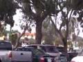 Pacific Surfliner 775 passes Farmer's Market