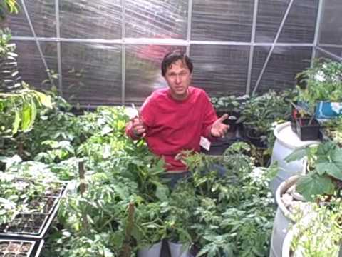 Garden tips - John from http://www.growingyourgreens.com shares his tips on how you can be prepared just in case... He encourages everyone to start a survival garden to su...