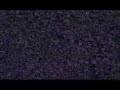 SIMPATICA-Los-Metro-