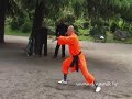 Taijiquan fast form Taijiquan fast form