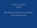 garza rescatada