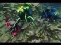 Discover Suba Diving