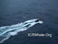I liked a @YouTube video http://t.co/DRVnp2xr January, 21 2012 Small Boat's Attack Yushin Maru # 2 With Spud