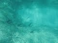 MVI_7741.AVI MVI_7741.AVI
