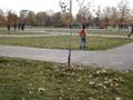 videos de Parcul Tineretului 19 Noiembrie 2006