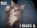 LOLKITTYS!!!