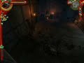 The Witcher - Kill Beranina